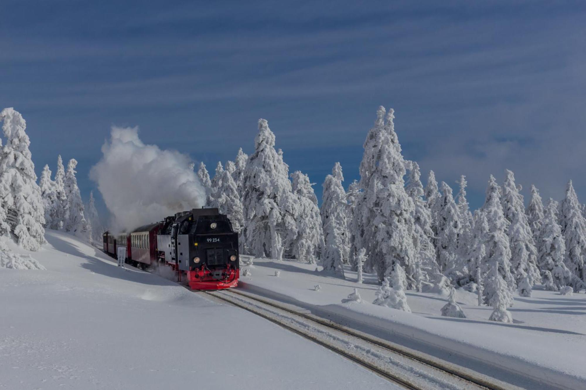 Fewo Schloesschen #Innenstadt#Garten#Ruhige Lage Von Harztraveler Wernigerode Exteriör bild